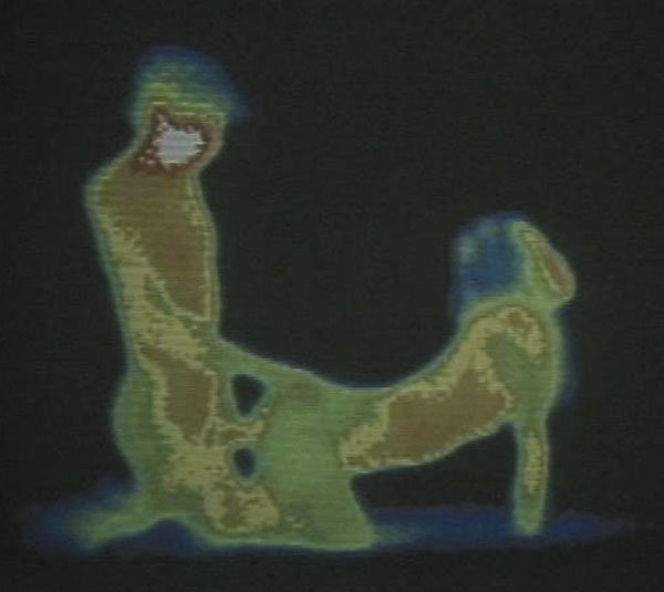 サーモグラフィーで見た男女のセックス画像