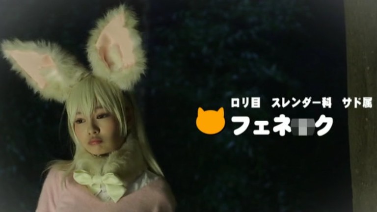 アライグマをクールに見守るフェネック