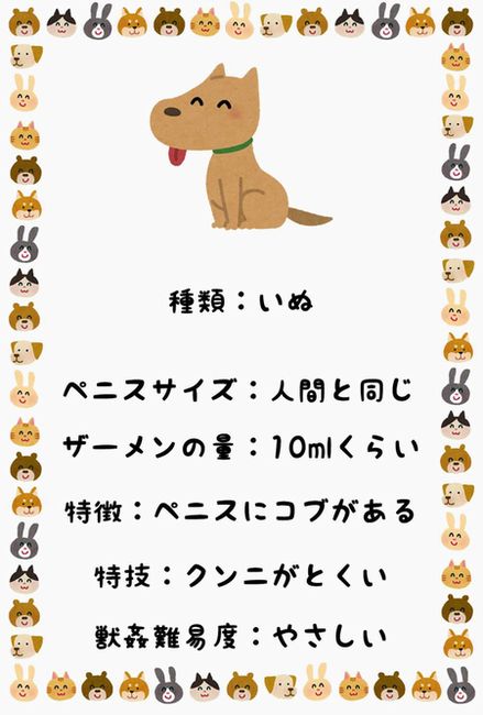 獣姦における犬の特徴まとめ