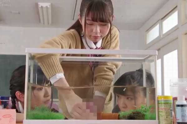 学校の教室でおちんちんをペットに飼っている女子校生たち 神坂ひなの あおいれな 宮沢ゆかり