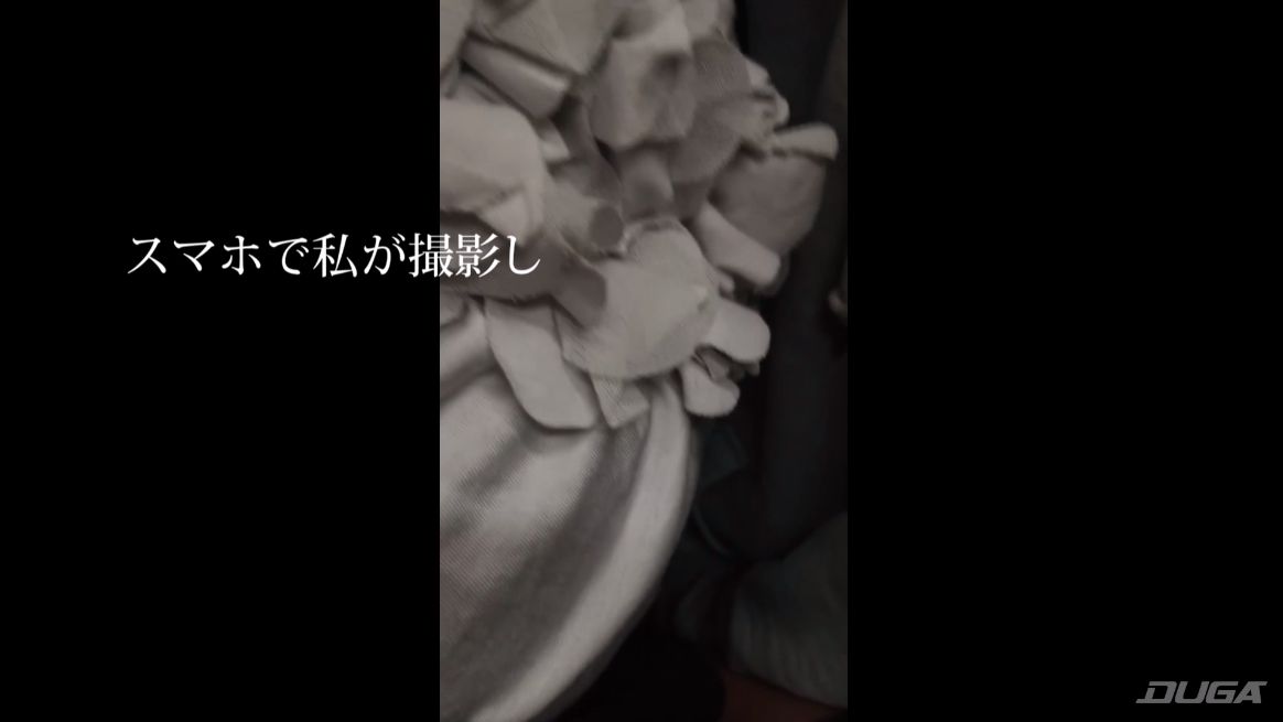 痴漢記録日記 vol.5 冒頭シーン 2
