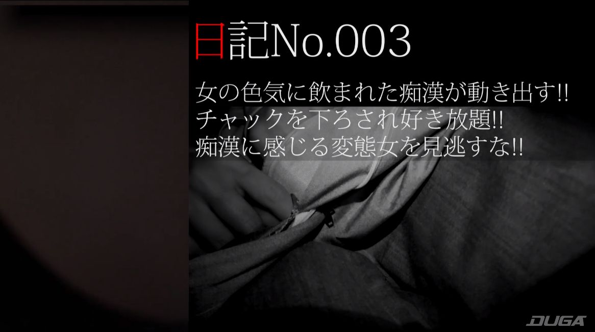 痴漢記録日記 vol.5 3人目の被害者女性について