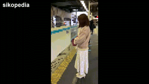 『痴漢記録日記vol.109』大人しめの女子大生・ミニスカキャバ嬢・就活中のJD